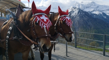 Študijski obisk Švice - Braunwald 